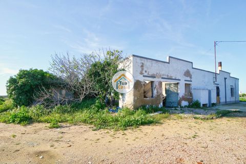 Farm i Olhao, Faro, Olhao - € 1.200.000 | Ref: TC1436 - foto 7