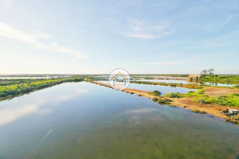 Farm i Olhao, Faro, Olhao - € 1.200.000 | Ref: TC1436 - foto 11