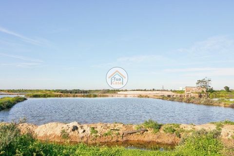 Farm i Olhao, Faro, Olhao - € 1.200.000 | Ref: TC1436 - foto 12