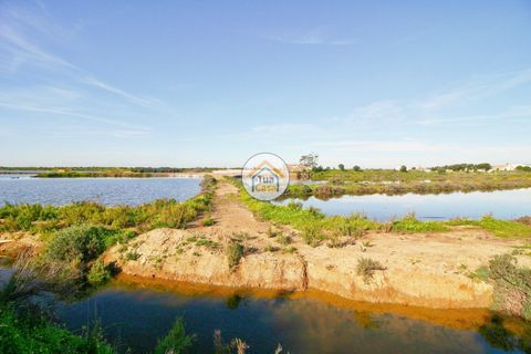 Farm i Olhao, Faro, Olhao - € 1.200.000 | Ref: TC1436 - foto 13