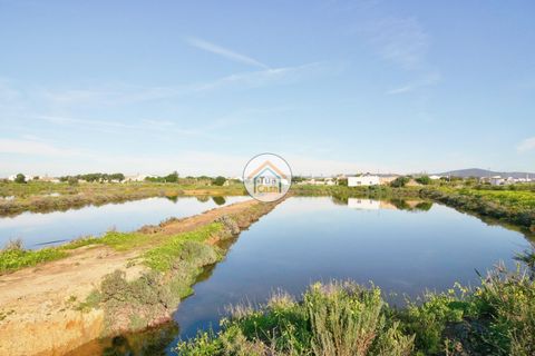 Farm i Olhao, Faro, Olhao - € 1.200.000 | Ref: TC1436 - foto 14