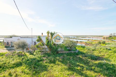 Farm i Olhao, Faro, Olhao - € 1.200.000 | Ref: TC1436 - foto 15