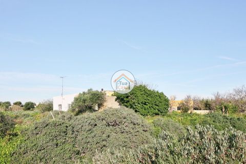 Farm i Olhao, Faro, Olhao - € 1.200.000 | Ref: TC1436 - foto 16
