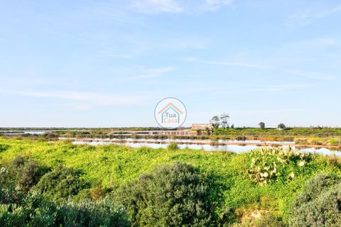 Farm i Olhao, Faro, Olhao - € 1.200.000 | Ref: TC1436 - foto 17
