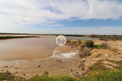 Farm i Olhao, Faro, Olhao - € 1.200.000 | Ref: TC1436 - foto 18