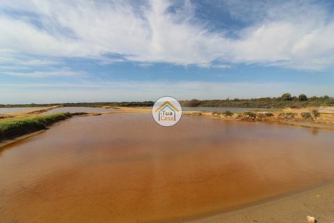 Farm i Olhao, Faro, Olhao - € 1.200.000 | Ref: TC1436 - foto 19