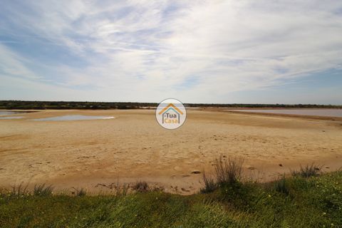 Farm i Olhao, Faro, Olhao - € 1.200.000 | Ref: TC1436 - foto 20