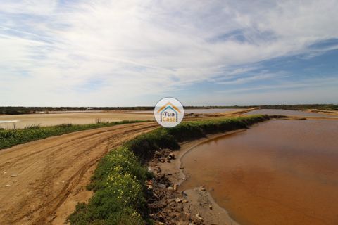 Farm i Olhao, Faro, Olhao - € 1.200.000 | Ref: TC1436 - foto 21