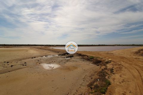 Farm i Olhao, Faro, Olhao - € 1.200.000 | Ref: TC1436 - foto 22