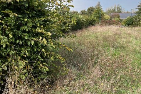 Terra a Moisdon-la-Riviere, Loire-Atlantique, Moisdon-la-Riviere - € 23.900 | Ref: 240903-173645_D6403739D - foto 3