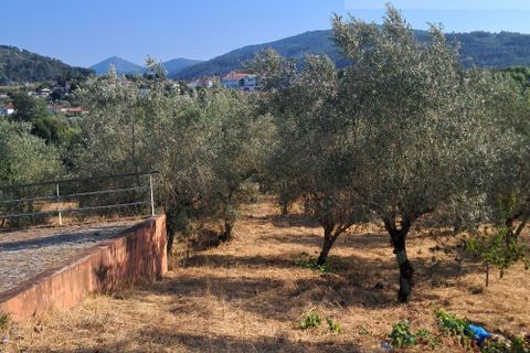 Tomt i Gois, Coimbra, Gois - € 55 000 | Ref: 674 - foto 7