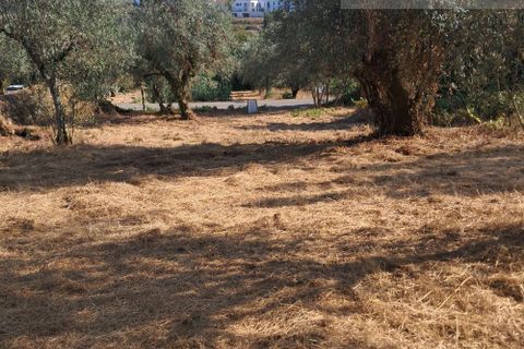 Tomt i Gois, Coimbra, Gois - € 55 000 | Ref: 674 - foto 8