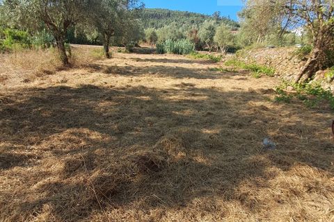 Tomt i Gois, Coimbra, Gois - € 55 000 | Ref: 674 - foto 11