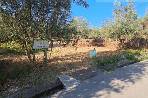 Tomt i Gois, Coimbra, Gois - € 55 000 | Ref: 674 - foto 12