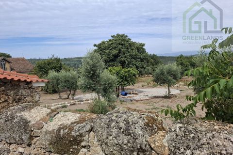 Villa a Tabua, Coimbra, Tabua - € 399.000 | Ref: 675 - foto 17