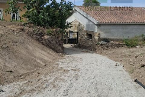 Villa a Tabua, Coimbra, Tabua - € 399.000 | Ref: 675 - foto 18