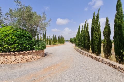 Finca i Llucmajor, Mallorca, Llucmajor - € 2.400.000 | Ref: 82339 - foto 34