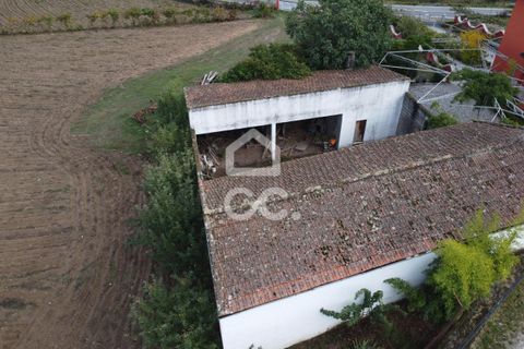Villa a Chaves, Vila Real, Chaves - € 350.000 | Ref: 322/M/01691 - foto 8