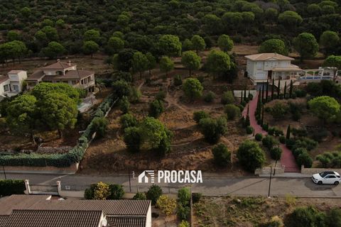 Finca i Pau, Gerona, Pau - € 395.000 | Ref: 3943 - foto 11