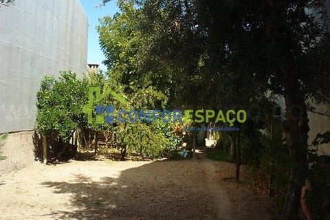 Helårsgrund i Castelo Branco, Castelo Branco, Castelo Branco - € 57.000 | Ref: 09187 - foto 5