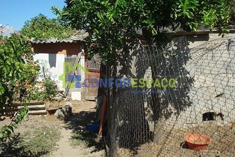 Helårsgrund i Castelo Branco, Castelo Branco, Castelo Branco - € 57.000 | Ref: 09187 - foto 9