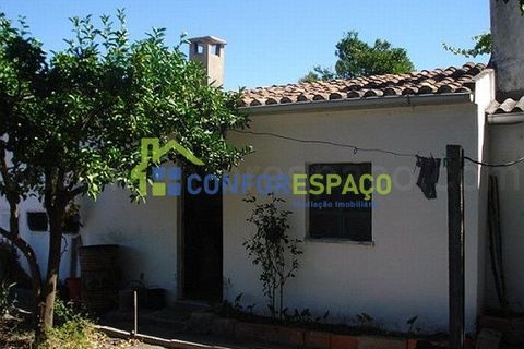 Helårsgrund i Castelo Branco, Castelo Branco, Castelo Branco - € 57.000 | Ref: 09187 - foto 10