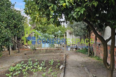 Helårsgrund i Castelo Branco, Castelo Branco, Castelo Branco - € 57.000 | Ref: 09187 - foto 2