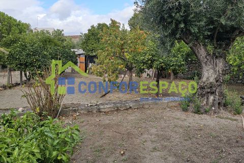 Helårsgrund i Castelo Branco, Castelo Branco, Castelo Branco - € 57.000 | Ref: 09187 - foto 6
