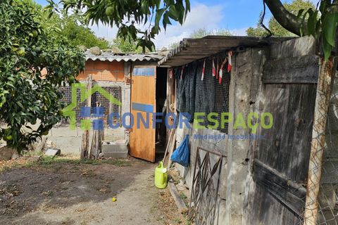 Helårsgrund i Castelo Branco, Castelo Branco, Castelo Branco - € 57.000 | Ref: 09187 - foto 11