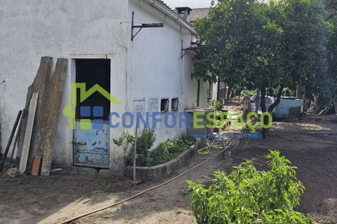 Helårsgrund i Castelo Branco, Castelo Branco, Castelo Branco - € 57.000 | Ref: 09187 - foto 12
