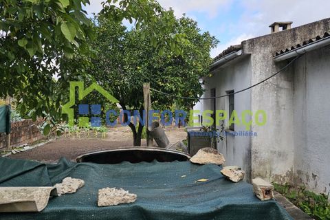 Helårsgrund i Castelo Branco, Castelo Branco, Castelo Branco - € 57.000 | Ref: 09187 - foto 15
