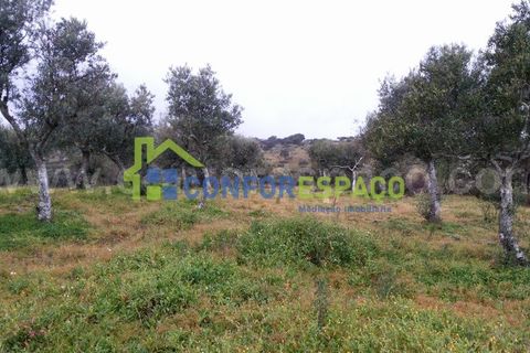 Helårsgrund i Castelo Branco, Castelo Branco, Castelo Branco - € 29.900 | Ref: 15045 - foto 2
