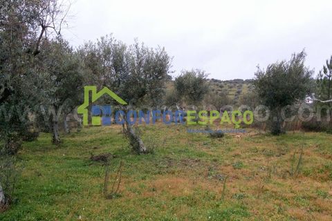 Helårsgrund i Castelo Branco, Castelo Branco, Castelo Branco - € 29.900 | Ref: 15045 - foto 3