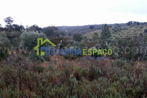 Helårsgrund i Castelo Branco, Castelo Branco, Castelo Branco - € 29.900 | Ref: 15045 - foto 5