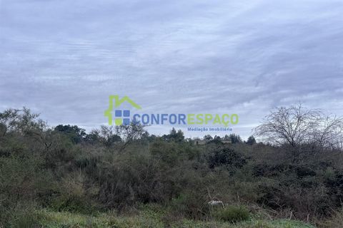 Helårsgrund i Castelo Branco, Castelo Branco, Castelo Branco - € 419.500 | Ref: 24007 - foto 2