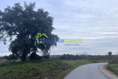 Helårsgrund i Castelo Branco, Castelo Branco, Castelo Branco - € 419.500 | Ref: 24007 - foto 4