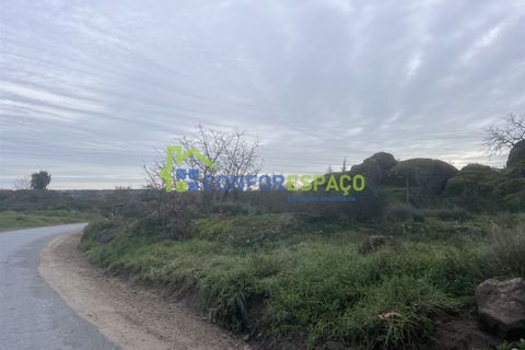 Helårsgrund i Castelo Branco, Castelo Branco, Castelo Branco - € 419.500 | Ref: 24007 - foto 5