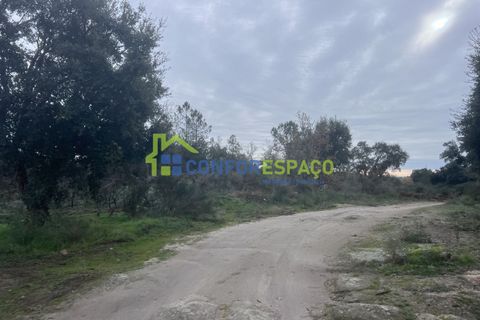 Helårsgrund i Castelo Branco, Castelo Branco, Castelo Branco - € 419.500 | Ref: 24007 - foto 7