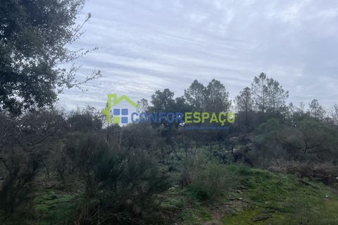 Helårsgrund i Castelo Branco, Castelo Branco, Castelo Branco - € 419.500 | Ref: 24007 - foto 8