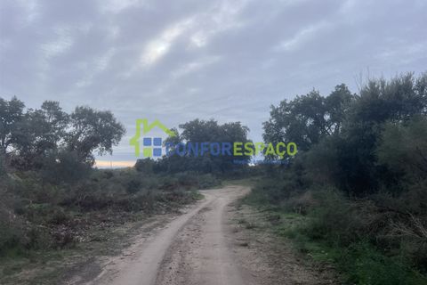 Helårsgrund i Castelo Branco, Castelo Branco, Castelo Branco - € 419.500 | Ref: 24007 - foto 9