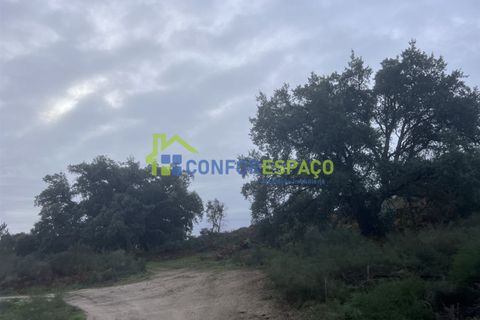 Helårsgrund i Castelo Branco, Castelo Branco, Castelo Branco - € 419.500 | Ref: 24007 - foto 10