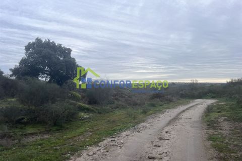 Helårsgrund i Castelo Branco, Castelo Branco, Castelo Branco - € 419.500 | Ref: 24007 - foto 11