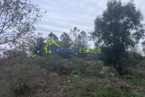 Helårsgrund i Castelo Branco, Castelo Branco, Castelo Branco - € 419.500 | Ref: 24007 - foto 12