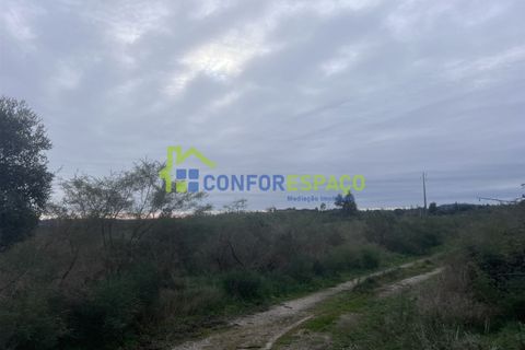 Helårsgrund i Castelo Branco, Castelo Branco, Castelo Branco - € 419.500 | Ref: 24007 - foto 13