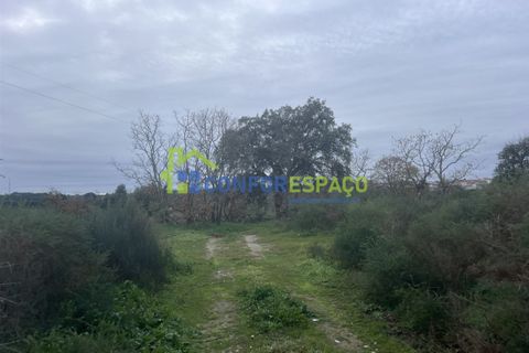 Helårsgrund i Castelo Branco, Castelo Branco, Castelo Branco - € 419.500 | Ref: 24007 - foto 15