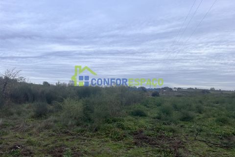 Helårsgrund i Castelo Branco, Castelo Branco, Castelo Branco - € 419.500 | Ref: 24007 - foto 18