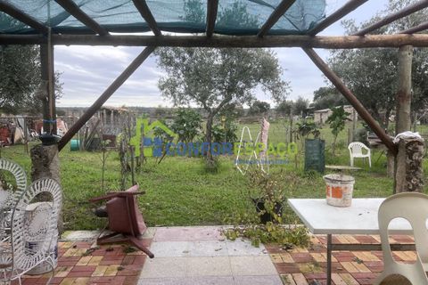 Landejendom i Castelo Branco, Castelo Branco, Castelo Branco - € 76.000 | Ref: 24041 - foto 2