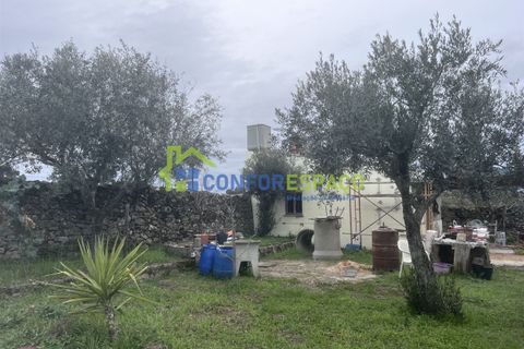 Landejendom i Castelo Branco, Castelo Branco, Castelo Branco - € 76.000 | Ref: 24041 - foto 3