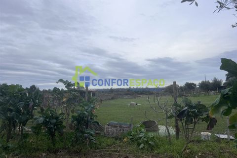 Landejendom i Castelo Branco, Castelo Branco, Castelo Branco - € 76.000 | Ref: 24041 - foto 9