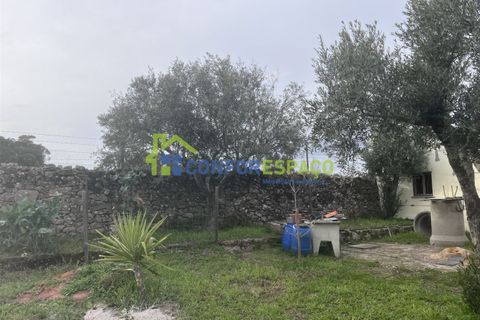 Landejendom i Castelo Branco, Castelo Branco, Castelo Branco - € 76.000 | Ref: 24041 - foto 11